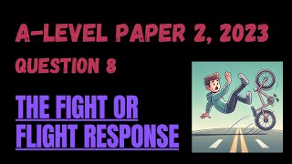 Paper 2, 2023 - Q8: Fight or Flight
