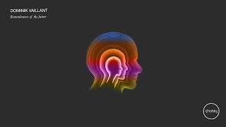 Dominik Vaillant - Remembrance Of The Future (Original Mix)