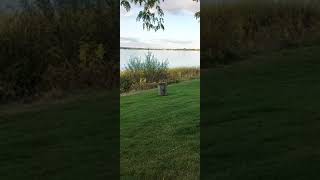 How the nature can entice one to express in a song?