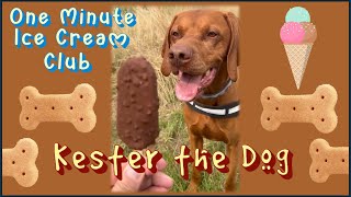 Kester the Dog applies to the #oneminicecreamclub