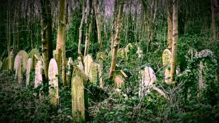 Webhead: "Lost in the Woods" -(Original Hip Hop Track)
