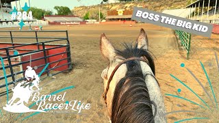 BRL - Baby Barrel horse grows up