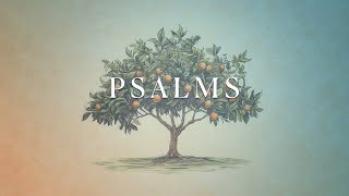 Psalm 40-41 | Pastor Dave Cummings | November 19, 2025