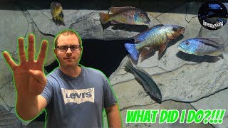 4 MISTAKES THAT YOU CAN MAKE KEEPING AQUARIUM FISH WITHOUT EVEN THINKING ABOUT IT , DON'T DO THESE