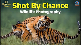 DD Morning Show | Shot By Chance | Wildlife Photography | DD National