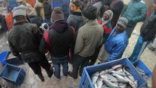 How People Sale Fish | इंडियन फिश मार्किट