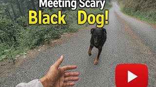 Mom's Surprise Visit, Friends Fun & New Puppy Love ❤️ | Daily Vlog