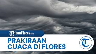 Prakiraan Cuaca di Flores Selasa 17 Maret 2026, Sebagian Wilayah Dilanda Hujan Ringan