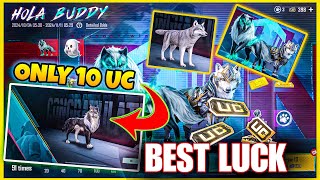 🤑ONLY 10 UC WOLF COMPANION / ARCTIC WOLF BEST LUCKIEST SPIN / HOLA BUDDY CRATE OPENING