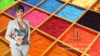 Color Theory - Harmony PMU Academy