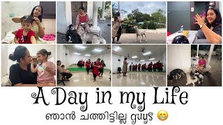 A Day in my Life Video | Talking Vlog | After a Long Gap | Sowbhagya Venkitesh