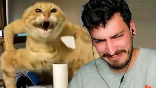 THE HARDEST I'VE EVER LAUGHED (Try Not To Laugh 34)