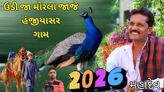 ઉડી જા મોરલા જાજે હંજીયાસર ગામ કચ્છી રાસુડા ગીત singer Mahadev #newsong2026 