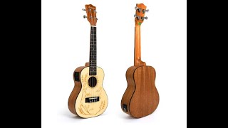 Electric Acoustic Concert Ukulele (UK-24) - Overview