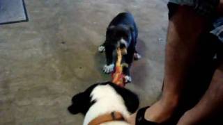 TUG OF WAR round   # One