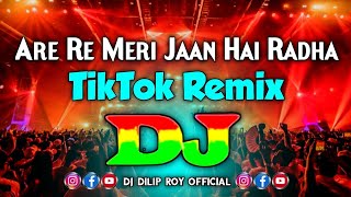 Are Re Meri Jaan Hai Radha - Dj Remix | Radha Krishna Bhajan Remix 2025 | Janmashtami Dj Song 2025 |