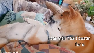 Suki has 1 of her episodes & husbun did the most amazing thing ❤️