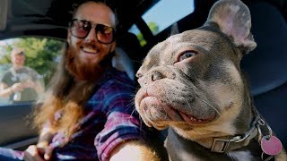 Buying a Porsche AND Ducati in the SAME DAY? Marketplace Haul!