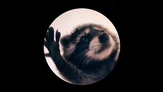 Jaxomy & Agatino Romero x Raffaella Carrà – Pedro (Patrick Junior Remix)