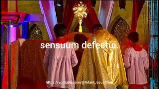 Tantum Ero Sacramentum Benediction Vigil of Pentecost | St Patrick's Cathedral Karachi Pakistan