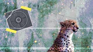 FREE (non profit) |  twenty one pilots type beat "'PET CHEETAH''