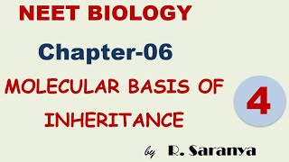 NEET Biology - Genetics - Molecular Basis - 4