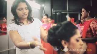 Thilini & Sajith // Wedding Trailer // PRO FILMS // Danushka Nirmal