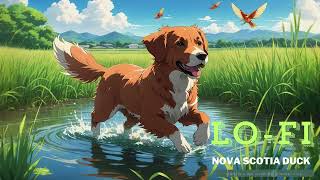 [Longplay LOFI] Nova Scotia Duck Tolling Retriever Serenity - Lofi Beats for Joy and Inspiration 🐶🎶