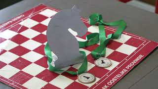 Plaatjies makes positive moves in townships through chess
