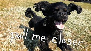 King Dylan - Pull Me Closer [OFFICIAL VIDEO]