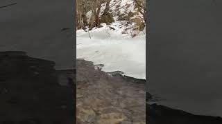 Nature Life Live #nature #naturesounds #snow #water #watervoice #relax #relaxing #naturesvoice