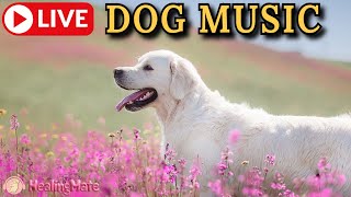 🔴Dog Music🎵🐶Calming Music for Dogs🐶💖Ease Separation Anxiety💖🦮Sleep Music for Dogs🔴17