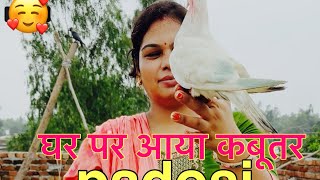 VILLAGE Life Mini Vlog |Village Vlog | Viral  Vlog 2024| Asr mini vlogs. 8k..views..5 hours