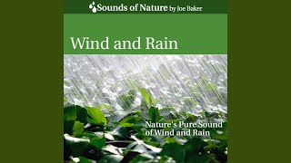 Wind and Rain