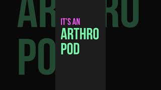 Arthro Pods (Gonna Last a Long Time) Lyrics Video