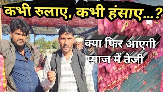 कभी रुलाए, कभी हंसाए… क्या फिर आएगी प्याज में तेजी | pyaj Mandi Bhav Today 