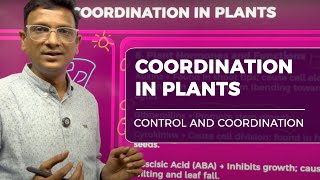 Coordination in Plants | Class 10 Biology | Control & Coordination Made Easy | Gradebooster