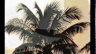 HIbachi Kid - Dream Forever