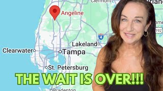 ANGELINE Single Family Homes LAND O LAKES, FL