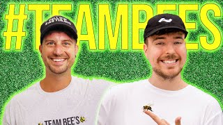 MrBeast Told Me to Start TeamBees #teambees