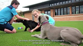 Avantage de drainage du système de support EnviroLoc™ de SYNLawn