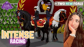 Racing TOP Racers in SE + 2 New Foals  ~Star Equestrian Vlog#8🤍