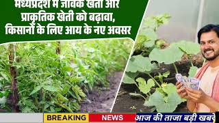 🔴 08 February 2026 | Madhya Pradesh News Today | Aaj Ki 25 Sabse Badi Khabrein | Breaking News Today