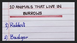 Name the animals that live in Burrows | 10 Animals that live in Burrows