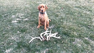 Riley Shed hunting NJ 2023 part 6