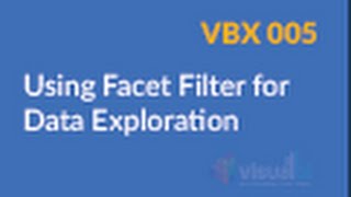 VBX 005   Using Facet Filter for Data Exploration
