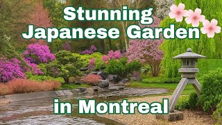Japanese Garden at Montreal Botanical Garden 🌸 | Serene 4K Walking Tour