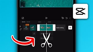 How To Trim & Cut Video In CapCut Mobile