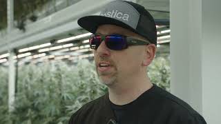 Catalyst BC Client Testimonial - Bostica
