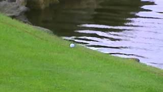 Darren Clarke , Luckiest Golfer going